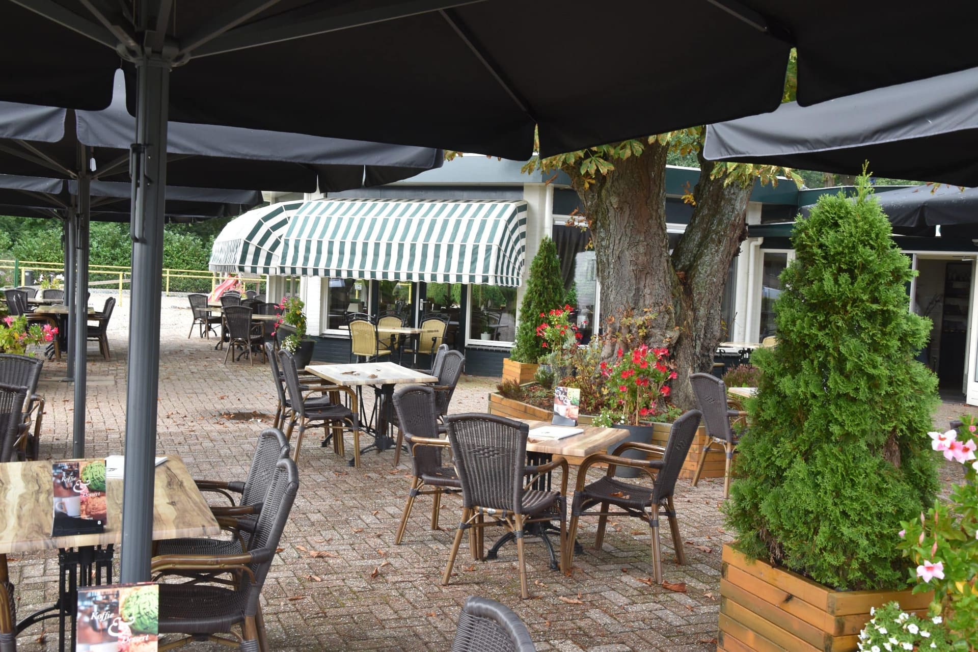 Het ruime terras van 't Mussennest met rieten stoelen, parasols en bloembakken onder de bomen.
